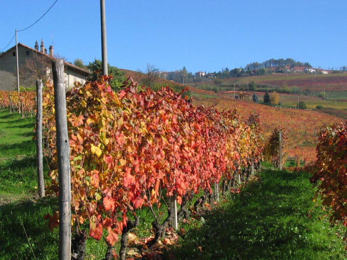 Agriturismo Il Gioco Dell'Oca Panzió Barolo Kültér fotó