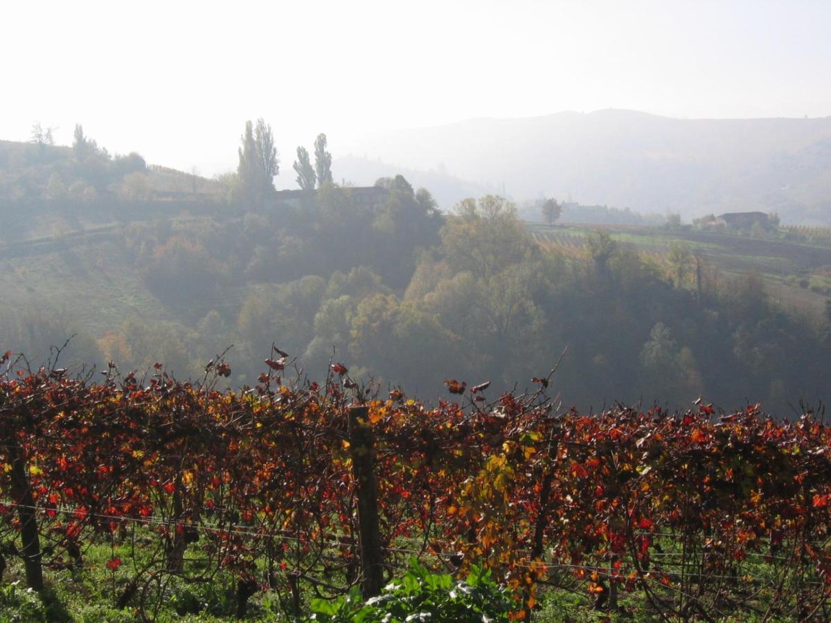 Agriturismo Il Gioco Dell'Oca Panzió Barolo Kültér fotó